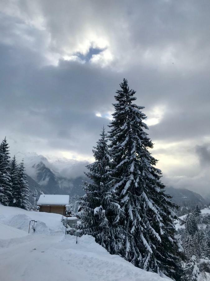Tgesa Ferrera Vila Schmitten  Exterior foto